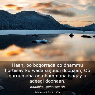 Picture 03 - Sabuurradii 72:11 SOM - Haah, oo boqorrada oo dhammu hortiisay ku wada - Bible Verse Picture