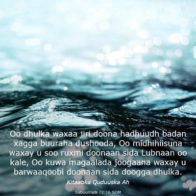 Picture 03 - Sabuurradii 72:16 SOM - Oo dhulka waxaa jiri doona hadhuudh badan xagga - Bible Verse Picture