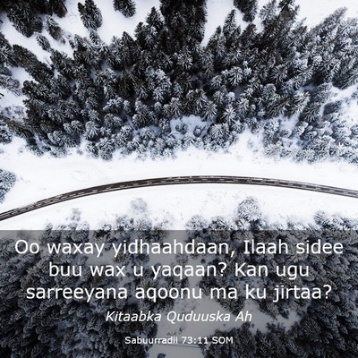 Picture 03 - Sabuurradii 73:11 SOM - Oo waxay yidhaahdaan, Ilaah sidee buu wax u - Bible Verse Picture