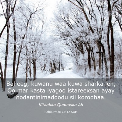 Picture 03 - Sabuurradii 73:12 SOM - Bal eeg, kuwanu waa kuwa sharka leh, Oo mar kasta - Bible Verse Picture