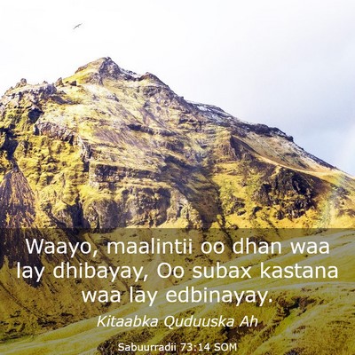 Picture 03 - Sabuurradii 73:14 SOM - Waayo, maalintii oo dhan waa lay dhibayay, Oo - Bible Verse Picture