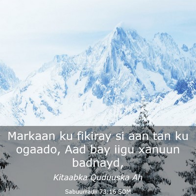 Picture 03 - Sabuurradii 73:16 SOM - Markaan ku fikiray si aan tan ku ogaado, Aad bay - Bible Verse Picture