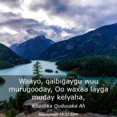Picture 03 - Sabuurradii 73:21 SOM - Waayo, qalbigaygu wuu murugooday, Oo waxaa layga - Bible Verse Picture