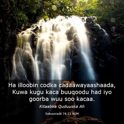 Picture 03 - Sabuurradii 74:23 SOM - Ha illoobin codka cadaawayaashaada, Kuwa kugu - Bible Verse Picture