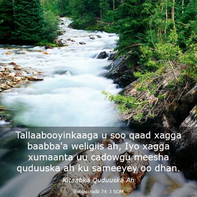 Picture 03 - Sabuurradii 74:3 SOM - Tallaabooyinkaaga u soo qaad xagga baabba'a - Bible Verse Picture