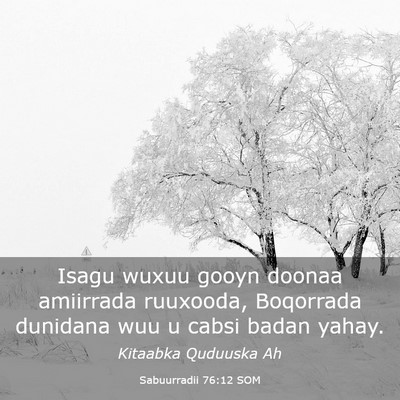 Picture 03 - Sabuurradii 76:12 SOM - Isagu wuxuu gooyn doonaa amiirrada ruuxooda, - Bible Verse Picture