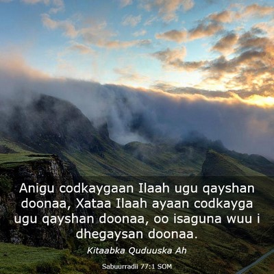 Picture 03 - Sabuurradii 77:1 SOM - Anigu codkaygaan Ilaah ugu qayshan doonaa, Xataa - Bible Verse Picture