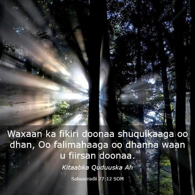 Picture 03 - Sabuurradii 77:12 SOM - Waxaan ka fikiri doonaa shuqulkaaga oo dhan, Oo - Bible Verse Picture