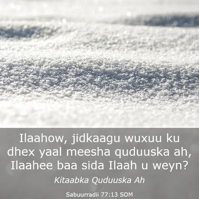 Picture 03 - Sabuurradii 77:13 SOM - Ilaahow, jidkaagu wuxuu ku dhex yaal meesha - Bible Verse Picture