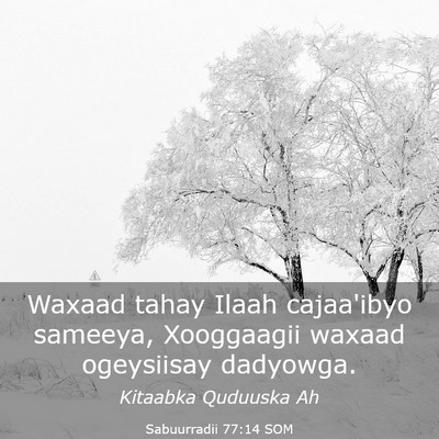 Picture 03 - Sabuurradii 77:14 SOM - Waxaad tahay Ilaah cajaa'ibyo sameeya, Xooggaagii - Bible Verse Picture