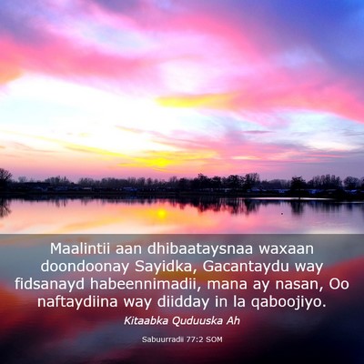 Picture 03 - Sabuurradii 77:2 SOM - Maalintii aan dhibaataysnaa waxaan doondoonay - Bible Verse Picture