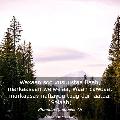 Picture 03 - Sabuurradii 77:3 SOM - Waxaan soo xusuustaa Ilaah, markaasaan welwelaa, - Bible Verse Picture