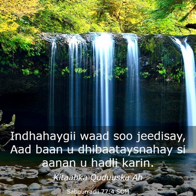 Picture 03 - Sabuurradii 77:4 SOM - Indhahaygii waad soo jeedisay, Aad baan u - Bible Verse Picture