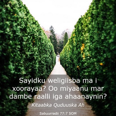 Picture 03 - Sabuurradii 77:7 SOM - Sayidku weligiisba ma i xoorayaa? Oo miyaanu mar - Bible Verse Picture
