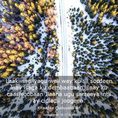 Picture 03 - Sabuurradii 78:17 SOM - Laakiinse iyagu weli way ku sii socdeen inay - Bible Verse Picture