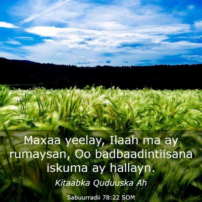 Picture 03 - Sabuurradii 78:22 SOM - Maxaa yeelay, Ilaah ma ay rumaysan, Oo - Bible Verse Picture
