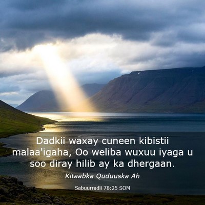 Picture 03 - Sabuurradii 78:25 SOM - Dadkii waxay cuneen kibistii malaa'igaha, Oo - Bible Verse Picture