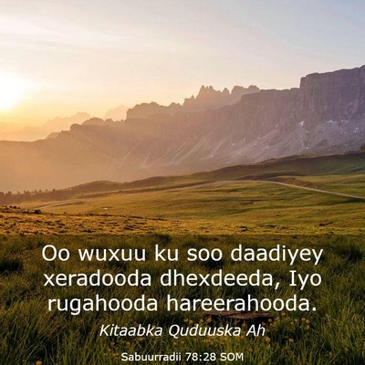 Picture 03 - Sabuurradii 78:28 SOM - Oo wuxuu ku soo daadiyey xeradooda dhexdeeda, Iyo - Bible Verse Picture