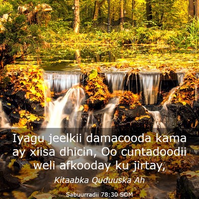Picture 03 - Sabuurradii 78:30 SOM - Iyagu jeelkii damacooda kama ay xiisa dhicin, Oo - Bible Verse Picture