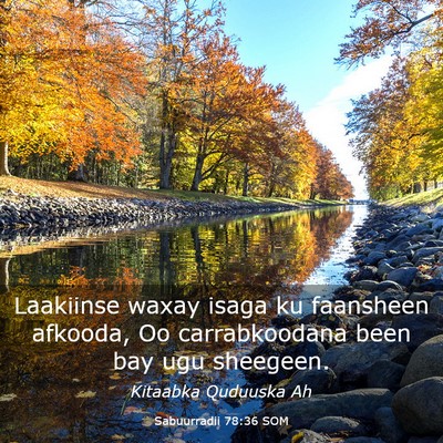 Picture 03 - Sabuurradii 78:36 SOM - Laakiinse waxay isaga ku faansheen afkooda, Oo - Bible Verse Picture