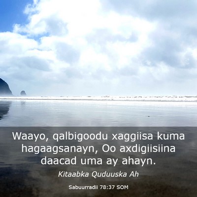 Picture 03 - Sabuurradii 78:37 SOM - Waayo, qalbigoodu xaggiisa kuma hagaagsanayn, Oo - Bible Verse Picture