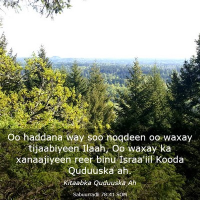 Picture 03 - Sabuurradii 78:41 SOM - Oo haddana way soo noqdeen oo waxay tijaabiyeen - Bible Verse Picture