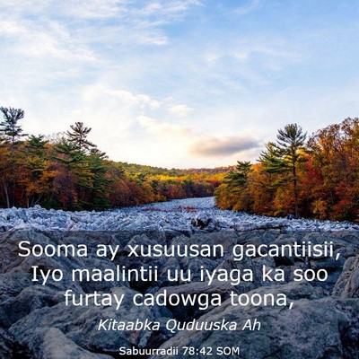 Picture 03 - Sabuurradii 78:42 SOM - Sooma ay xusuusan gacantiisii, Iyo maalintii uu - Bible Verse Picture