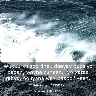 Picture 03 - Sabuurradii 78:45 SOM - Wuxuu ku soo dhex daayay duqsiyo badan, wayna - Bible Verse Picture