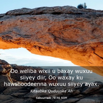Picture 03 - Sabuurradii 78:46 SOM - Oo weliba wixii u baxay wuxuu siiyey diir, Oo - Bible Verse Picture