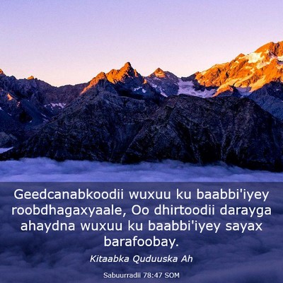 Picture 03 - Sabuurradii 78:47 SOM - Geedcanabkoodii wuxuu ku baabbi'iyey - Bible Verse Picture