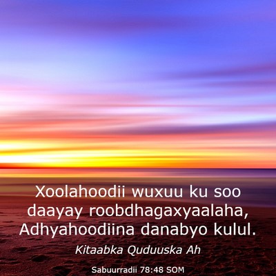 Picture 03 - Sabuurradii 78:48 SOM - Xoolahoodii wuxuu ku soo daayay - Bible Verse Picture