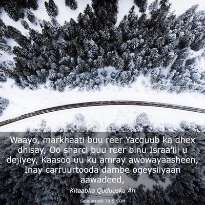 Picture 03 - Sabuurradii 78:5 SOM - Waayo, markhaati buu reer Yacquub ka dhex dhisay, - Bible Verse Picture