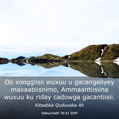 Picture 03 - Sabuurradii 78:61 SOM - Oo xooggiisii wuxuu u gacangeliyey maxaabiisnimo, - Bible Verse Picture