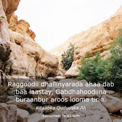 Picture 03 - Sabuurradii 78:63 SOM - Raggoodii dhallinyarada ahaa dab baa laastay, - Bible Verse Picture