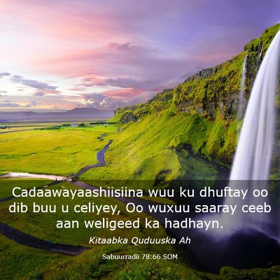 Picture 03 - Sabuurradii 78:66 SOM - Cadaawayaashiisiina wuu ku dhuftay oo dib buu u - Bible Verse Picture