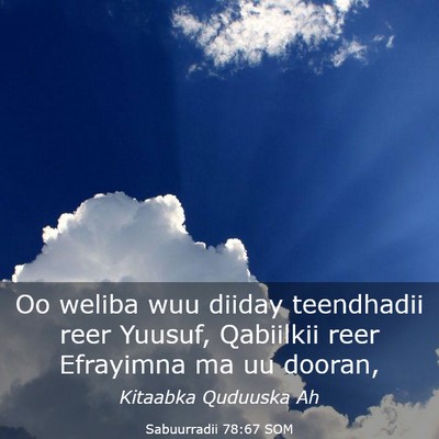 Picture 03 - Sabuurradii 78:67 SOM - Oo weliba wuu diiday teendhadii reer Yuusuf, - Bible Verse Picture