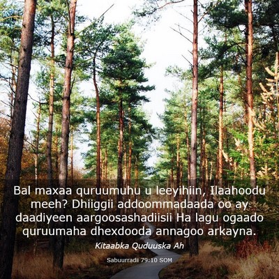 Picture 03 - Sabuurradii 79:10 SOM - Bal maxaa quruumuhu u leeyihiin, Ilaahoodu meeh? - Bible Verse Picture