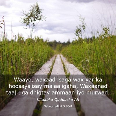 Picture 03 - Sabuurradii 8:5 SOM - Waayo, waxaad isaga wax yar ka hoosaysiisay - Bible Verse Picture