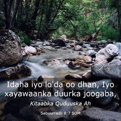 Picture 03 - Sabuurradii 8:7 SOM - Idaha iyo lo'da oo dhan, Iyo xayawaanka duurka - Bible Verse Picture
