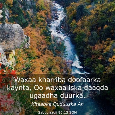 Picture 03 - Sabuurradii 80:13 SOM - Waxaa kharriba doofaarka kaynta, Oo waxaa iska - Bible Verse Picture