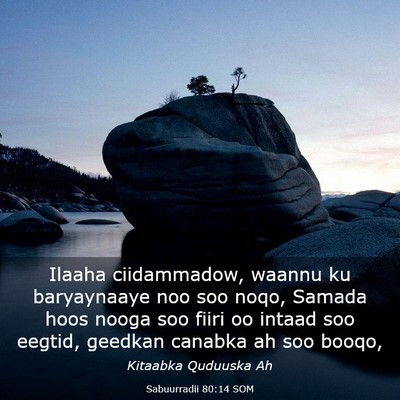 Picture 03 - Sabuurradii 80:14 SOM - Ilaaha ciidammadow, waannu ku baryaynaaye noo soo - Bible Verse Picture