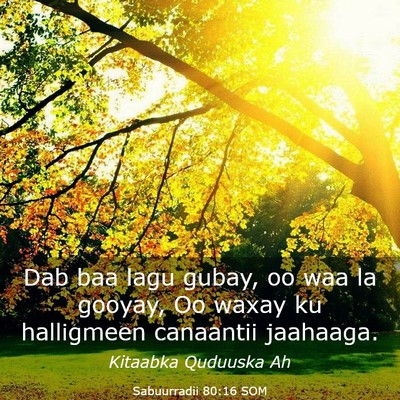 Picture 03 - Sabuurradii 80:16 SOM - Dab baa lagu gubay, oo waa la gooyay, Oo waxay ku - Bible Verse Picture