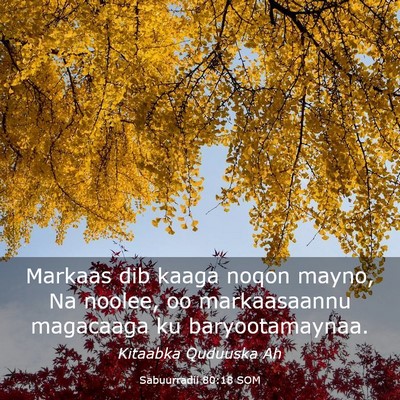 Picture 03 - Sabuurradii 80:18 SOM - Markaas dib kaaga noqon mayno, Na noolee, oo - Bible Verse Picture