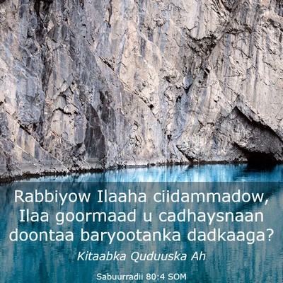 Picture 03 - Sabuurradii 80:4 SOM - Rabbiyow Ilaaha ciidammadow, Ilaa goormaad u - Bible Verse Picture