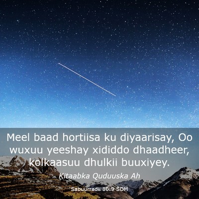 Picture 03 - Sabuurradii 80:9 SOM - Meel baad hortiisa ku diyaarisay, Oo wuxuu - Bible Verse Picture