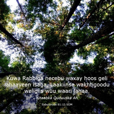 Picture 03 - Sabuurradii 81:15 SOM - Kuwa Rabbiga necebu waxay hoos geli lahaayeen - Bible Verse Picture