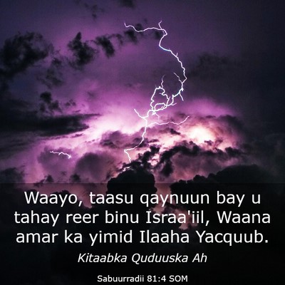 Picture 03 - Sabuurradii 81:4 SOM - Waayo, taasu qaynuun bay u tahay reer binu - Bible Verse Picture