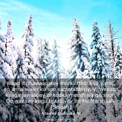 Picture 03 - Sabuurradii 81:7 SOM - Waad ii dhawaaqatay markii dhib kuu yimid, oo - Bible Verse Picture