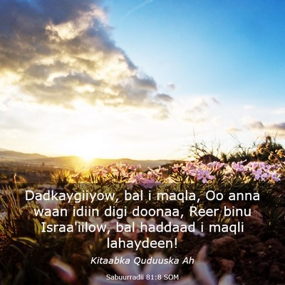 Picture 03 - Sabuurradii 81:8 SOM - Dadkaygiiyow, bal i maqla, Oo anna waan idiin - Bible Verse Picture