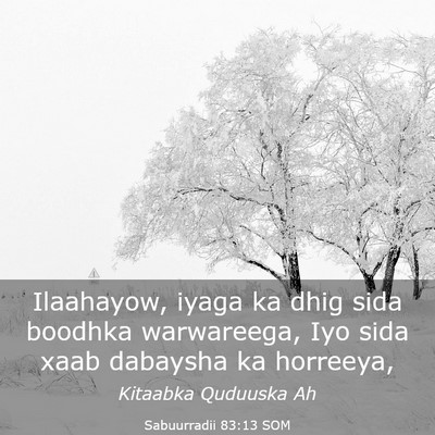 Picture 03 - Sabuurradii 83:13 SOM - Ilaahayow, iyaga ka dhig sida boodhka warwareega, - Bible Verse Picture